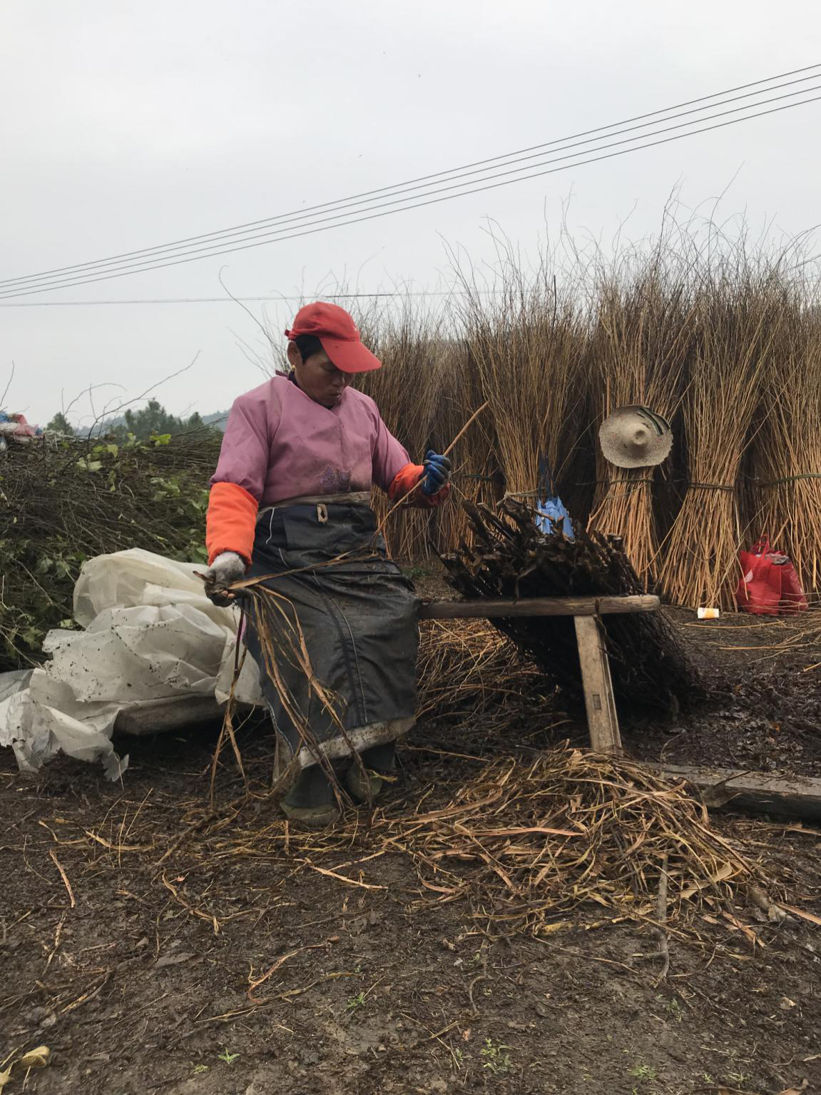 优发国际|随优而动一触即发