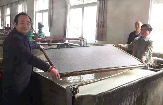 优发国际|随优而动一触即发