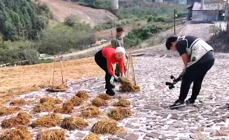 优发国际|随优而动一触即发