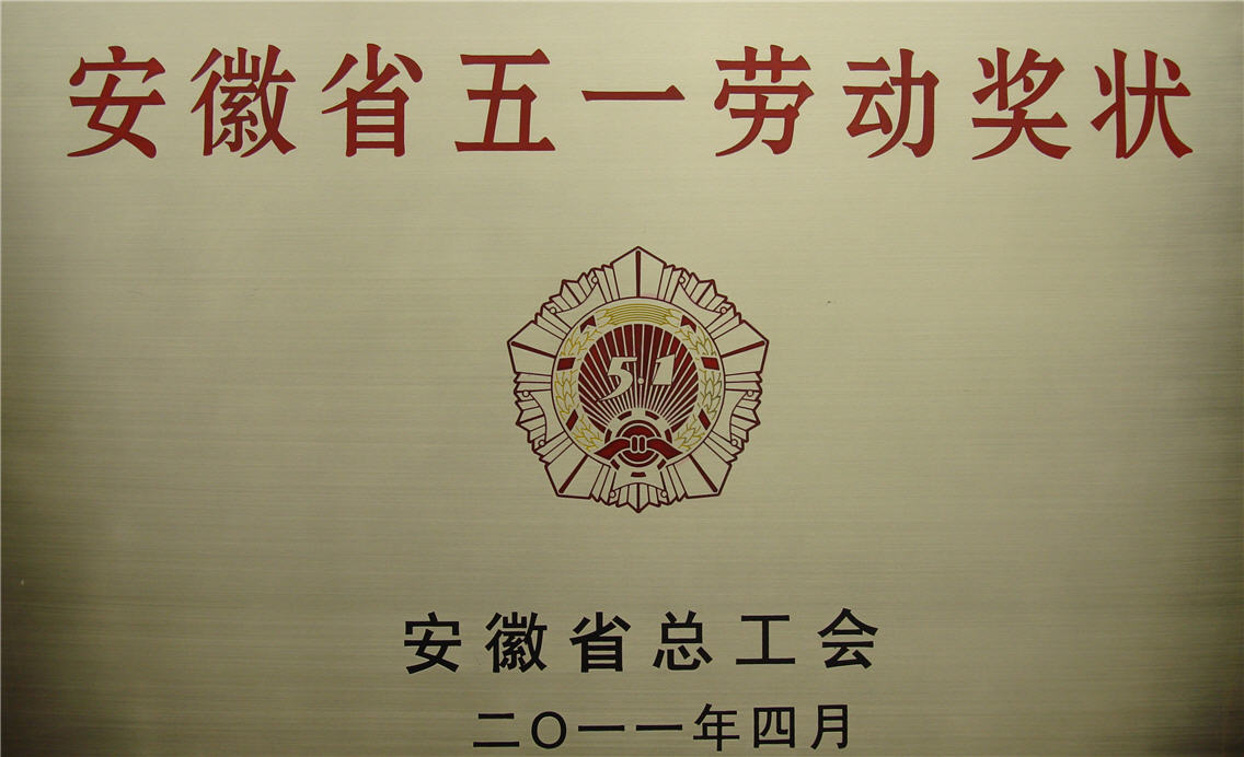 公司获&ldquo;安徽省五一劳动奖状&rdquo;殊荣
